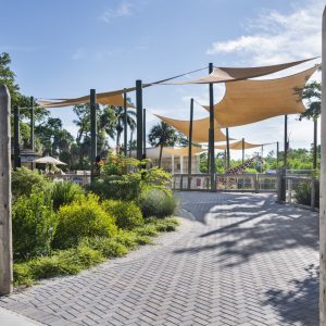 LR_NaplesZooGiraffe-12