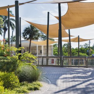 LR_NaplesZooGiraffe-13