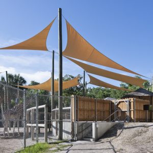 LR_NaplesZooGiraffe-15