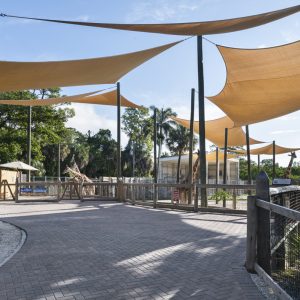 LR_NaplesZooGiraffe-2