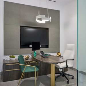 WH_CitizensWealthLR-11