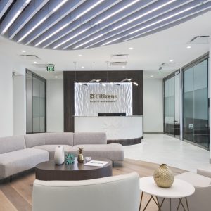 WH_CitizensWealthLR-6