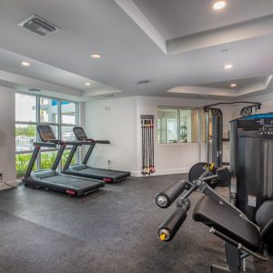 2NFocus_Mainsail_sm_#_-4 rs