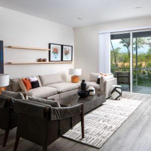 2NFocus_Mainsail_sm_#_-6 rs