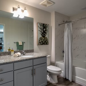 2NFocus_Mainsail_sm_#_-7